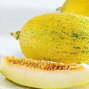 【Minimum 50kg起订】Hami Melon 哈密瓜 -10kg