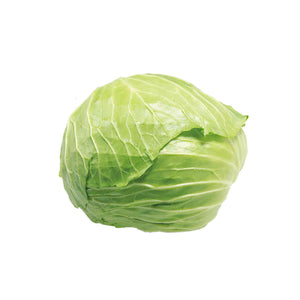 【Minimum 50kg起订】Cabbage Beijing 北京包菜 -10kg