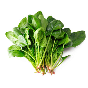 【Minimum 50kg起订】Spinach 菠菜 -10kg