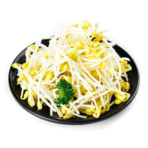 【Minimum 50kg起订】Soy Bean Sprout 黄豆芽 -10kg
