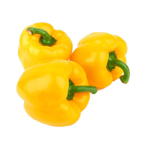 【Minimum 50kg起订】Capsicum Yellow 黄甜椒 -5kg
