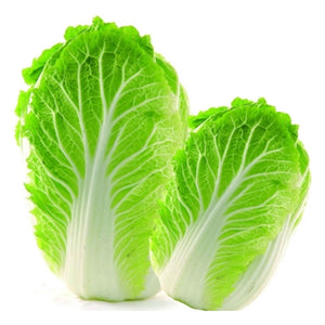 【Minimum 50kg起订】Chinese Cabbage 大白菜 -10kg