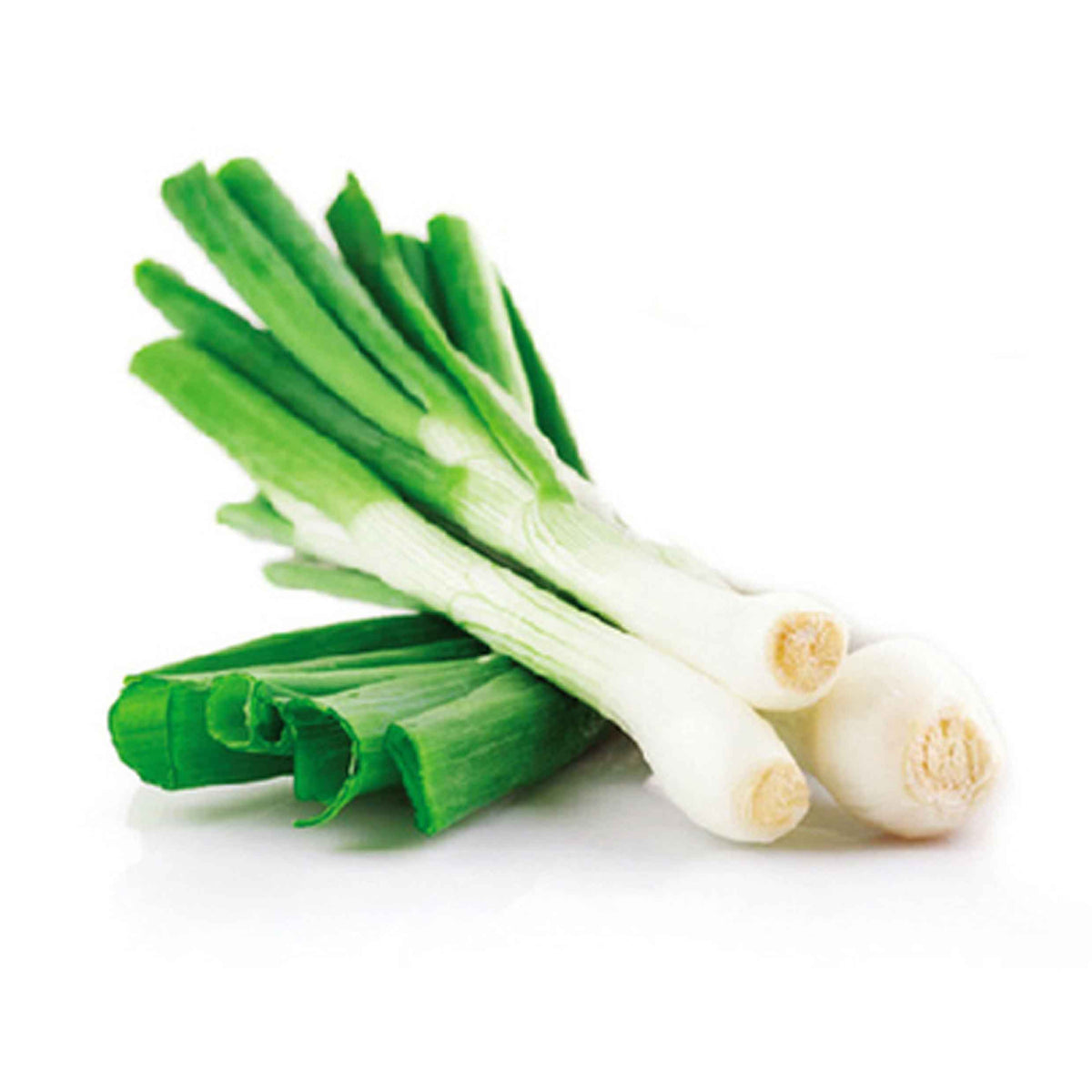 【Minimum 50kg起订】Scallion 北葱 -5kg – MAonline.sg