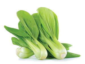 【Minimum 50kg起订】Sio Peh Chye 小白菜 -10kg