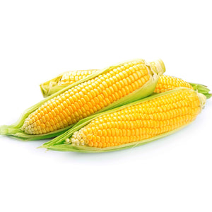 【Minimum 50kg起订】Corn 玉米 -10kg