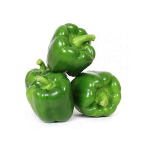 【Minimum 50kg起订】Capsicum Green 青甜椒 -5kg